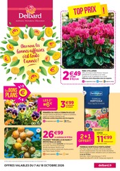 Promos Terreau dans le catalogue "Chez nous les bonnes affaires c'est toute l'année" de Delbard Terreau en promo dans le catalogue Delbard à la page 1