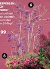 Liebesperlenstrauch âProfusionâ im Dehner Garten-Center Prospekt Liebesperlenstrauch âProfusionâ von im aktuellen Dehner Garten-Center Prospekt fĂŒr 5,99 âŹ