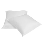 Oreiller carré x2 anti-acariens blanc 65x65xÉp15cm à Gifi dans Asco Oreiller carré x2 anti-acariens blanc 65x65xÉp15cm à Gifi dans Asco