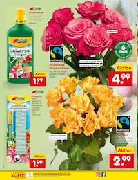 Edelrose Angebot im aktuellen Netto Marken-Discount Prospekt auf Seite 30
