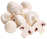 Weiße Champignons von REWE Beste Wahl für 1,49 € bei REWE im Angebot Weiße Champignons von REWE Beste Wahl im aktuellen REWE Prospekt