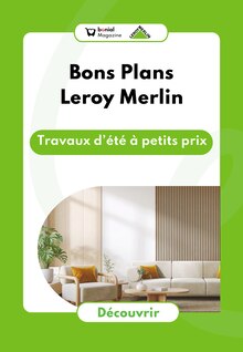 Prospectus Magazine à Lille, "Bons Plans Leroy Merlin : Travaux d'été à petits prix", 1 page de promos valables du 30/07/2025 au 10/08/2025