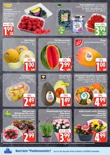 EDEKA Prospekt der Woche "Top Angebote" Seite 2, 13.07.2026 bis 18.07.2026 für Elmshorn Aktueller EDEKA Prospekt "Top Angebote" Seite 2 von 12 Seiten für Elmshorn