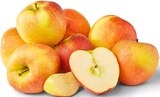 Deutsche rote Äpfel im aktuellen Penny Prospekt für 2,29 €