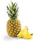 Ananas bei Netto Marken-Discount im Prospekt "" für 1,00 €
