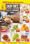 Feuerwerkskörper Feuerwerkskörper