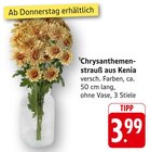 Chrysanthemenstrauß aus Kenia im Angebot bei EDEKA in Karlsruhe Chrysanthemenstrauß aus Kenia Angebote bei EDEKA Karlsruhe für 3,99 €