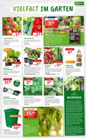 Aktueller ZG Raiffeisen Prospekt mit Lebensmittel, "Vielfalt im Garten!", Seite 5