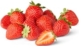 Aktuelles Erdbeeren Angebot bei Penny in Koblenz ab 2,99 €