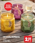 Citronella-Duftkerze für 2,22 € bei Thomas Philipps im Angebot Citronella-Duftkerze im aktuellen Thomas Philipps Prospekt