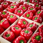 POIVRON ROUGE ET/OU VERT en promo chez Netto POIVRON ROUGE ET/OU VERT dans le catalogue Netto