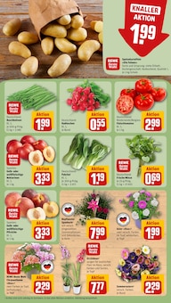 Pflanzen im aktuellen REWE Prospekt (Kiel) Pflanzen im REWE Prospekt "Dein Markt" mit 14 Seiten (Kiel)