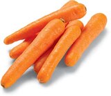 Bio Möhren im Angebot bei Netto Marken-Discount in Detmold Bio Möhren Angebote von BioBio bei Netto Marken-Discount Detmold für 1,11 €