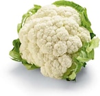 Blumenkohl von HEIMAT für 1,29 € bei Netto Marken-Discount im Angebot Blumenkohl von HEIMAT im aktuellen Netto Marken-Discount Prospekt