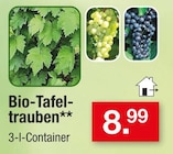 Bio-Tafeltrauben im Angebot bei Zimmermann in Wiesbaden Bio-Tafeltrauben Angebote bei Zimmermann Wiesbaden für 8,99 €
