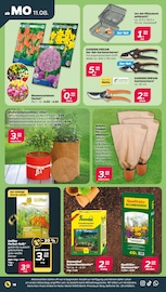 Aktueller Netto mit dem Scottie Prospekt mit Gartenerde, "Günstig. Besser. Für Dich.", Seite 18