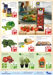 Aktueller Marktkauf Prospekt mit Tomaten, "Top Angebote", Seite 5