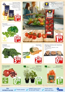 Wassermelone Angebot im Marktkauf Prospekt, gültig von 13.10.2025 bis 18.10.2025 Wassermelone Angebot im aktuellen Marktkauf Prospekt auf Seite 5