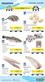Lachs im METRO Prospekt "Wochenangebote SCO + Markets" mit 25 Seiten (Salzgitter)