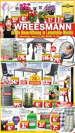 Wreesmann Prospekt: "DEIN SAISON- & SONDERPOSTENMARKT!", 20 Seiten, 11.05.2026 - 15.05.2026