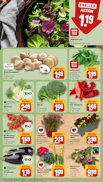 Blumen Angebot im aktuellen REWE Prospekt auf Seite 7