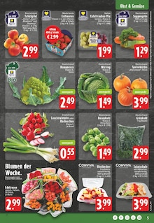 Äpfel im EDEKA Prospekt "Aktuelle Angebote" mit 26 Seiten (Münster)