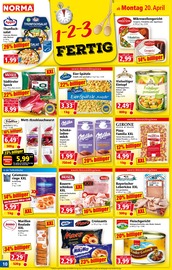 Aktueller Norma Prospekt mit Fast Food, "Mehr fürs Geld", Seite 10