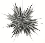 Aktuelle Farbe Angebote bei Thomas Philipps in Cottbus Aktuelles Metall-Rentier Angebot bei Thomas Philipps in Cottbus ab 7,99 €