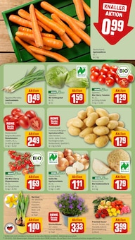 Staubsauger im REWE Prospekt "Dein Markt" mit 22 Seiten (Münster)