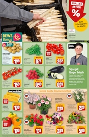 Dekoration im REWE Prospekt in Wetzlar Aktueller REWE Prospekt mit Dekoration, "Dein Markt", Seite 7