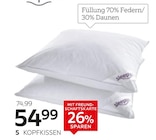 Aktuelle Kopfkissen Angebote bei XXXLutz Möbelhäuser in Münster Aktuelles Kopfkissen „Ice“ Angebot bei XXXLutz Möbelhäuser in Münster ab 54,99 €