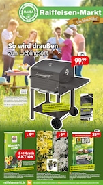 Pflanzen im Raiffeisenmarkt Prospekt in Delmenhorst Aktueller Raiffeisenmarkt Prospekt mit Pflanzen, "So wird draußen zum Lieblingsort.", Seite 1