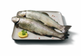 ASC Frische Regenbogenforelle Angebote von Fischerstolz bei Lidl Mainz für 6,00 €