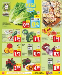 Blumen Angebot & Preis im aktuellen EDEKA Prospekt Blumen Angebot im aktuellen EDEKA Prospekt auf Seite 3