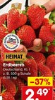 Erdbeeren im Angebot bei Netto Marken-Discount in Nürtingen Erdbeeren Angebote von Heimat bei Netto Marken-Discount Nürtingen für 2,49 €