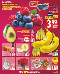 Sträucher Angebot & Preis im aktuellen EDEKA Prospekt Sträucher Angebot im aktuellen EDEKA Prospekt auf Seite 3