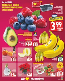 Bananen im aktuellen EDEKA Prospekt (Potsdam) Bananen im EDEKA Prospekt "Aktuelle Angebote" mit 18 Seiten (Potsdam)