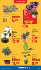 Vase Angebote im Prospekt "La Foire aux Vins" von Lidl Vase Angebote im Prospekt "La Foire aux Vins" von Lidl auf Seite 31