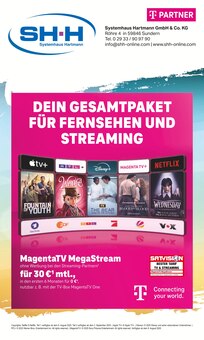 Fernseher im Systemhaus Hartmann Prospekt "DEIN GESAMTPAKET FÜR FERNSEHEN UND STREAMING" mit 8 Seiten (Hemer)