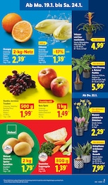 Kartoffeln Angebot im aktuellen Lidl Prospekt auf Seite 5