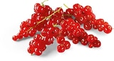 Johannisbeeren rot Angebote von HEIMAT bei Netto Marken-Discount Wuppertal für 2,49 €
