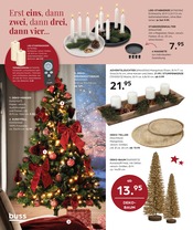 Aktueller buss Prospekt mit Weihnachtsbaum, "VORFREUDE das schönste Gefühl", Seite 12