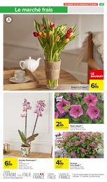 Offre Bouquet De Tulipes dans le catalogue Carrefour Market du moment à la page 33