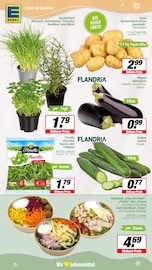 Schinken im EDEKA Prospekt in Lingen Aktueller EDEKA Prospekt mit Schinken, "Aktuelle Angebote", Seite 6