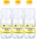 mit Zitrone im Netto mit dem Scottie Prospekt mit Zitrone von Mecklenburger Quelle im aktuellen Netto mit dem Scottie Prospekt für 1,20 €