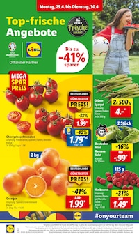 Tomaten im Lidl Prospekt "LIDL LOHNT SICH" mit 62 Seiten (Wolfsburg)