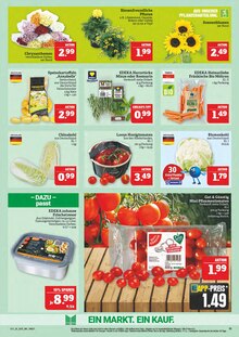Blumen im Marktkauf Prospekt "AUSWAHL RIESIG, PREISE NIEDRIG" mit 44 Seiten (Nürnberg)