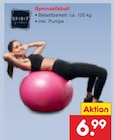 Gymnastikball im Angebot bei Netto Marken-Discount in Elmshorn Gymnastikball Angebote bei Netto Marken-Discount Elmshorn für 6,99 €