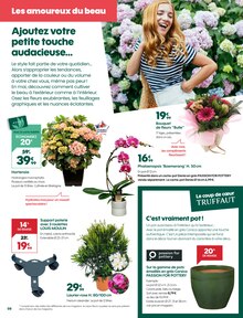 Promo Orchidée dans le catalogue Truffaut du moment à la page 8