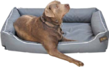 Hundebett Paula von  im aktuellen Globus-Baumarkt Prospekt für 55,00 €